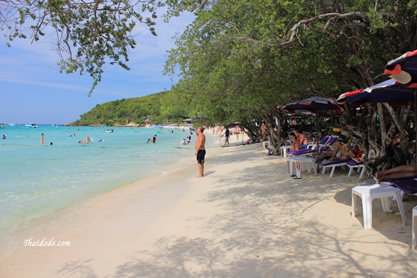 ภาพหาดเทียนที่อยู่ภายในเกาะล้าน